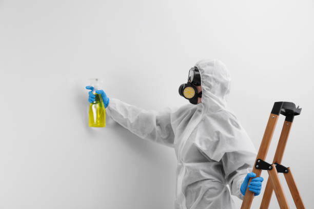 Best Mold Odor Removal Services  in Matamoras, OH